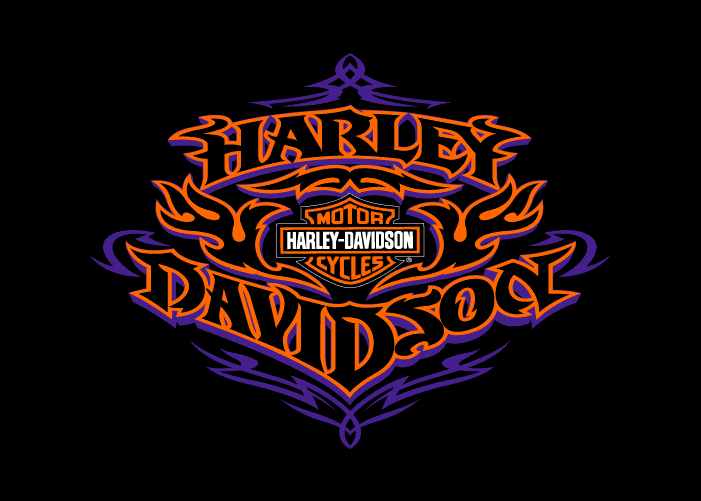  Harley  davidson  Blogging for Bikers